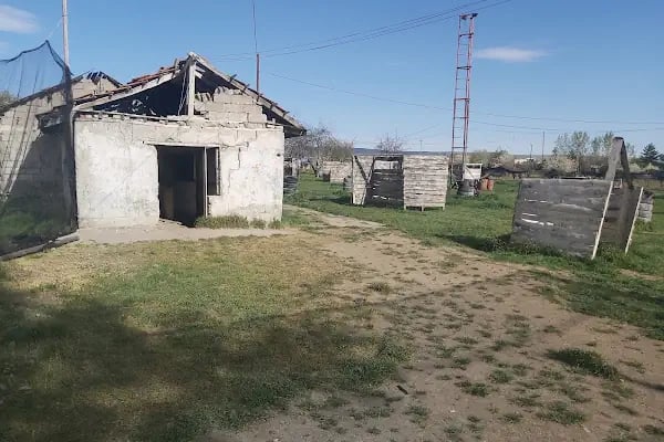 Esenboğa Paintball - Resim 3