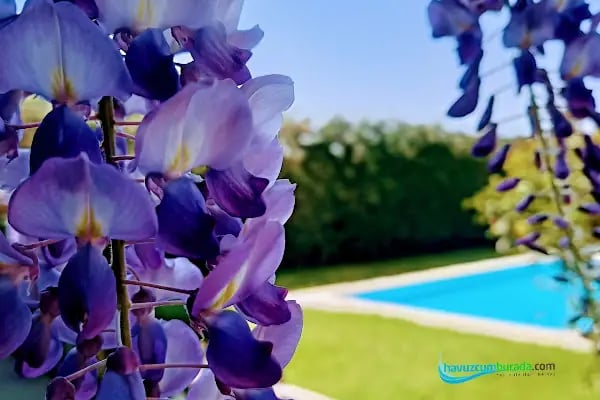 İstanbul Havuz - Resim 9