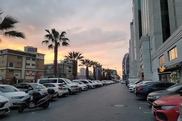 Z Panorama Evleri - Resim 10