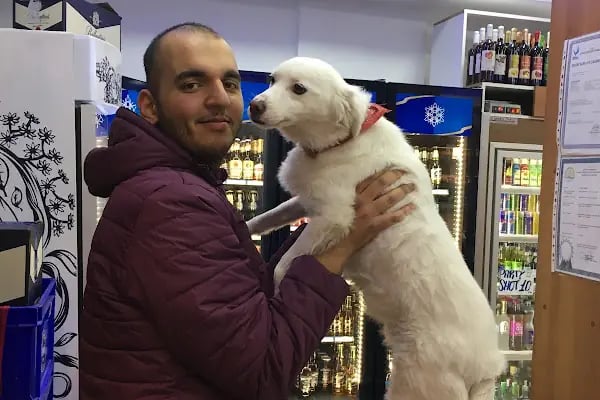 PROMİL TOBACCO SHOP ALİAĞA - Resim 19