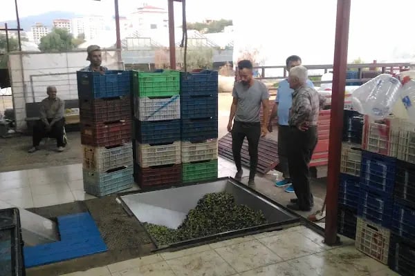 ALANYA ZEYTİNYAĞI FABRİKASI - Resim 13