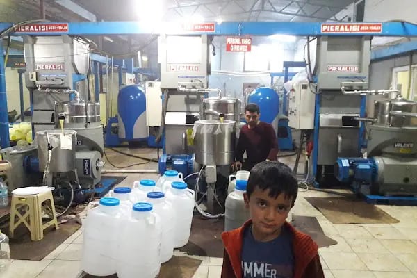ALANYA ZEYTİNYAĞI FABRİKASI - Resim 16
