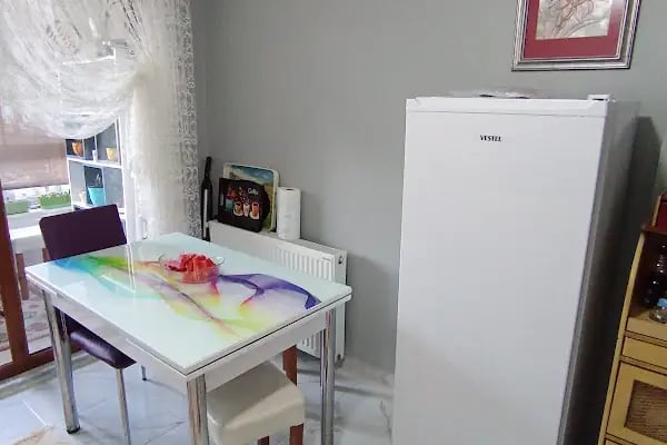 Vestel Yetkili Servisi - Adapazarı - Dilsizoğlu Teknik - Resim 7