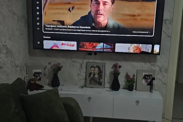 Vestel Yetkili Servisi - Adapazarı - Dilsizoğlu Teknik - Resim 17