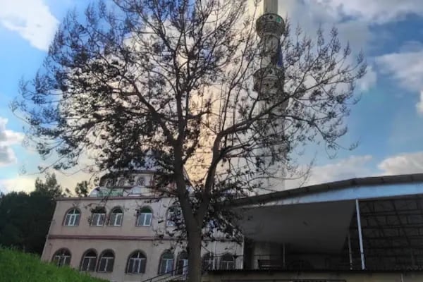 Zeytintepe Camii - Resim 11