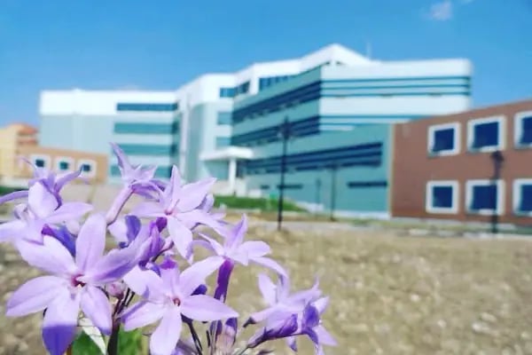 Heydar Aliyev Teknik Ve Endüstri Meslek Lisesi - Resim 8