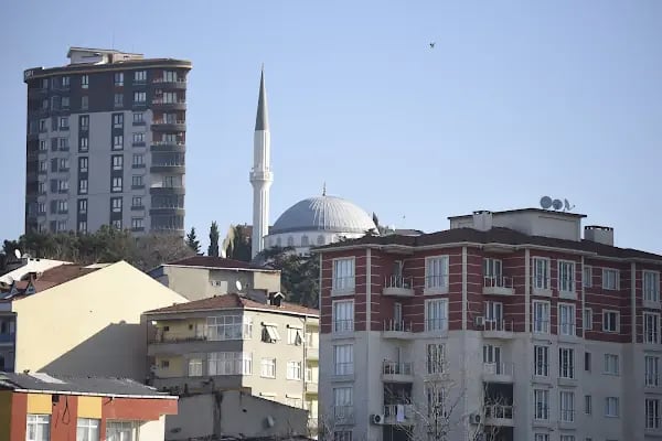 Hasan Gürsu Cami - Resim 3