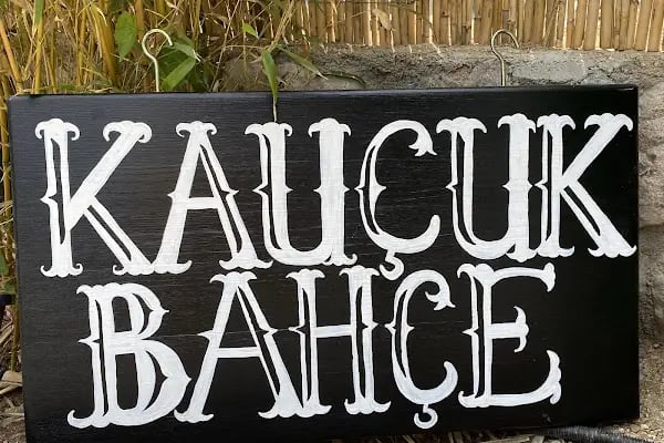 Kauçuk Bahçe - Resim 3