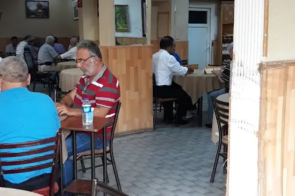 Salon Aslan - Resim 3