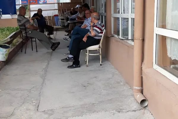 Salon Aslan - Resim 7
