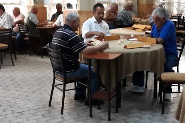 Salon Aslan - Resim 2