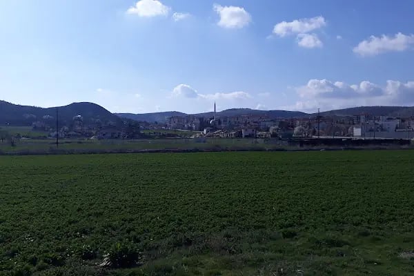 Ayvaşık KümeEvler - Resim 10