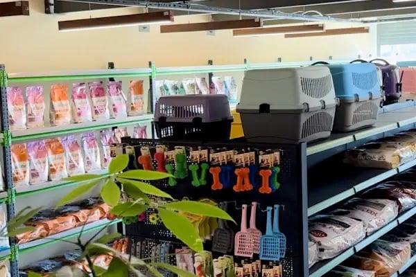 BestPet Shop - Resim 8
