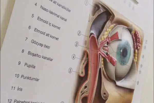 Gaziantep Universitesi Goz Hastaliklari - Resim 1