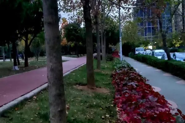 Ataşehir Belediyesi 8 Mart Kadın Eli Parkı - Resim 7