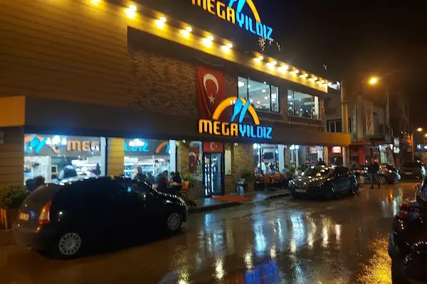 Mega Yıldız Aile Lokantası - Resim 4