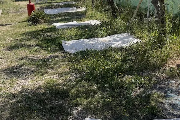 Salaşk | VIP Çadır Kamp Alanı, VIP Karavan Park Alanı - Resim 19