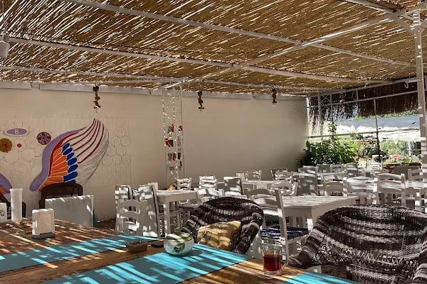 Salaşk | VIP Çadır Kamp Alanı, VIP Karavan Park Alanı - Resim 5