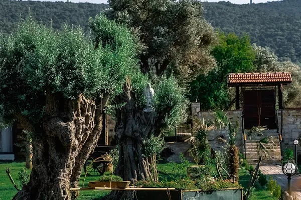 Serender Bungalov Otel - Resim 7