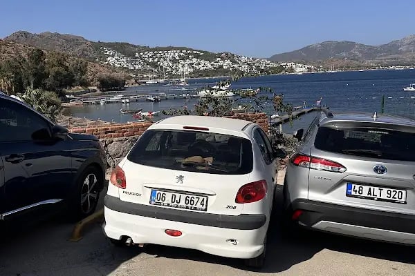 Bodrumda Birgün - Bodrum Haber - Resim 4