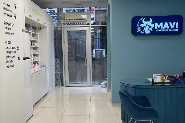 Mavi Veteriner Kliniği - Resim 5