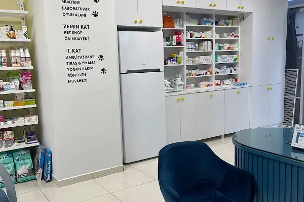 Mavi Veteriner Kliniği - Resim 2