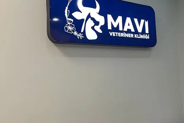 Mavi Veteriner Kliniği - Resim 6