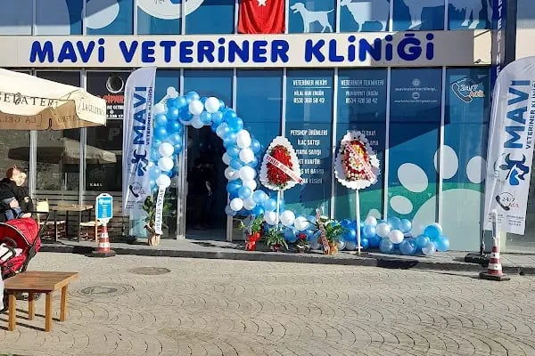 Mavi Veteriner Kliniği - Resim 8
