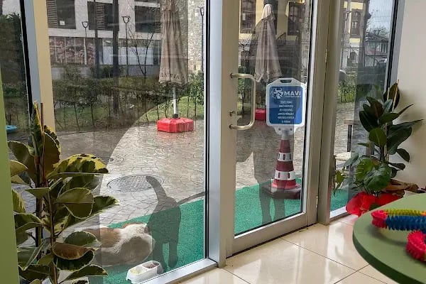 Mavi Veteriner Kliniği - Resim 3