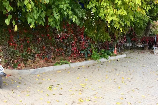 Bayraktar Kahvehanesi - Resim 4