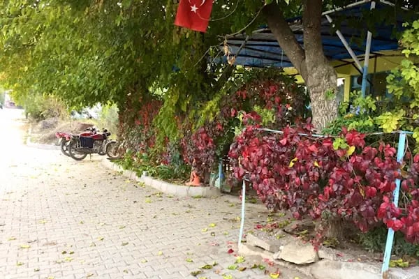 Bayraktar Kahvehanesi - Resim 5