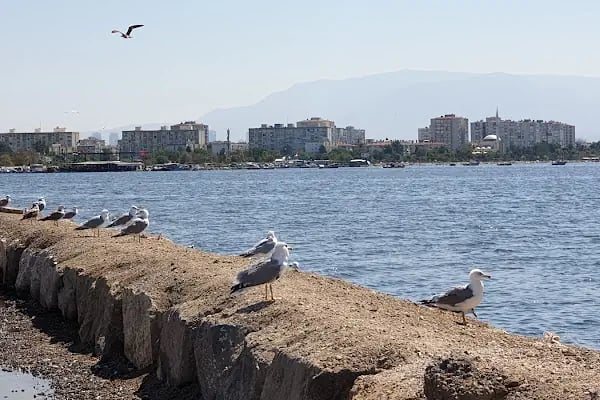 Mavişehir Sasalı Bisiklet Parkuru - Resim 12