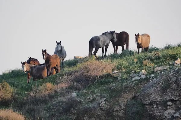 Mavişehir Sasalı Bisiklet Parkuru - Resim 18