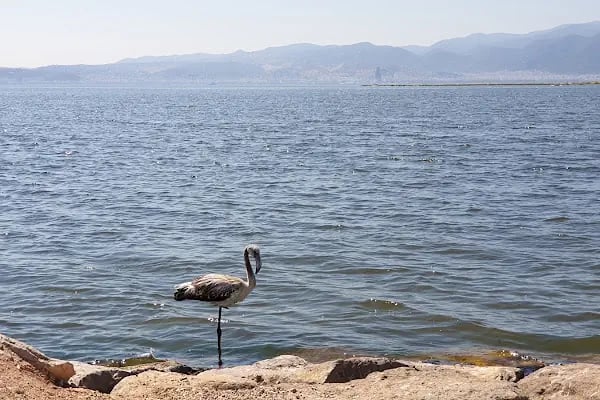 Mavişehir Sasalı Bisiklet Parkuru - Resim 14
