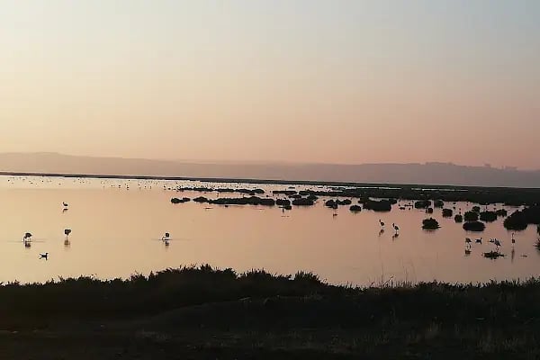 Mavişehir Sasalı Bisiklet Parkuru - Resim 7