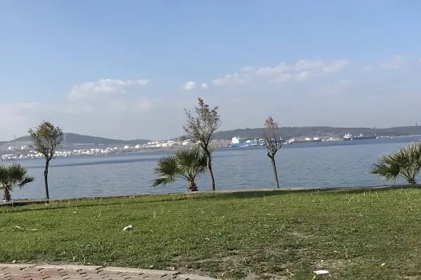 Alosbi Bölge Müdürlüğü - Resim 4