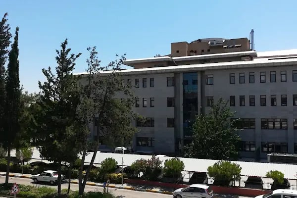 Psikolog Halime ORAN KESKİN - Resim 2