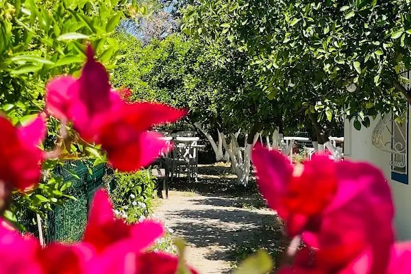 Deniz Beach Restaurant &amp; Bar - Resim 6