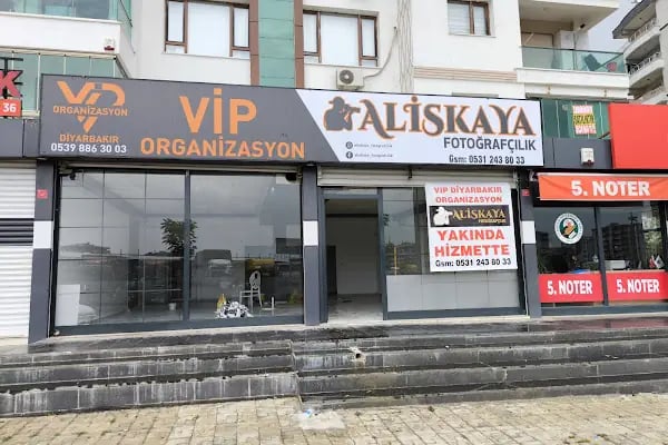 aliskaya fotografçılık - Resim 3