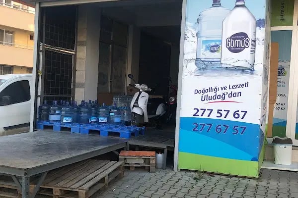 GÜMÜŞ SU BALÇOVA NARLIDERE ÜÇKUYULAR GÜZELYALI - Resim 2