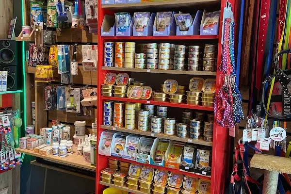 Can Petshop - Resim 15