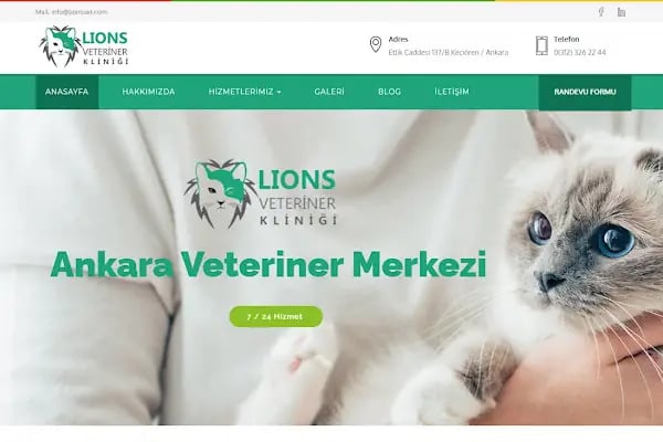 Ankara Web Tasarım - ENF Digital - Resim 3