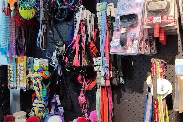 Patidağ Petshop - Resim 3