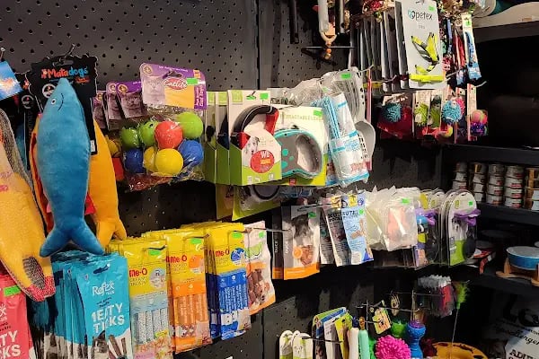Patidağ Petshop - Resim 4