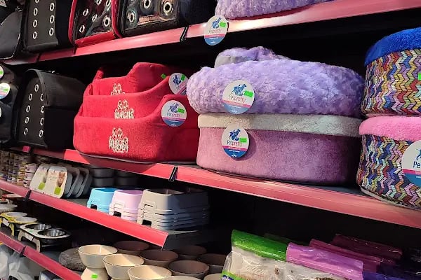 Patidağ Petshop - Resim 7