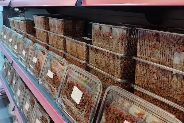 Patidağ Petshop - Resim 5