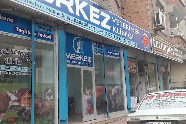 Merkez Veteriner Kliniği - Resim 7