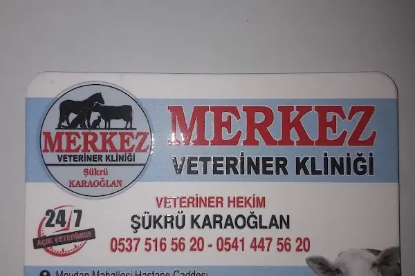 Merkez Veteriner Kliniği - Resim 4