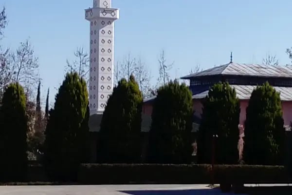 Organize Sanayi Bölgesi Alanyalı Cami - Resim 14