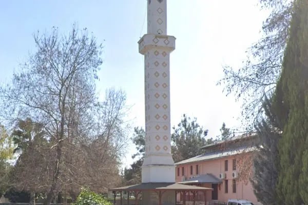 Organize Sanayi Bölgesi Alanyalı Cami - Resim 17